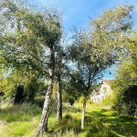 La Sycomore
